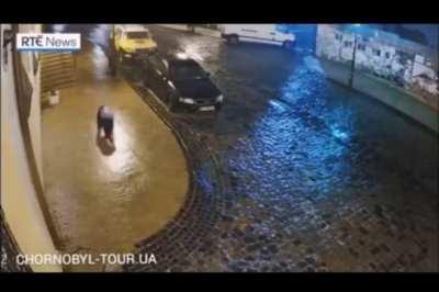 Try go home after work