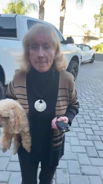 Racist Karen brings a taser and makes up a story about a dog attack.