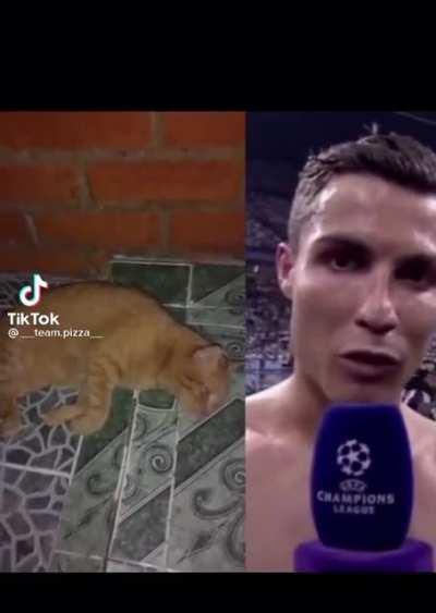 No bicho que hiciste