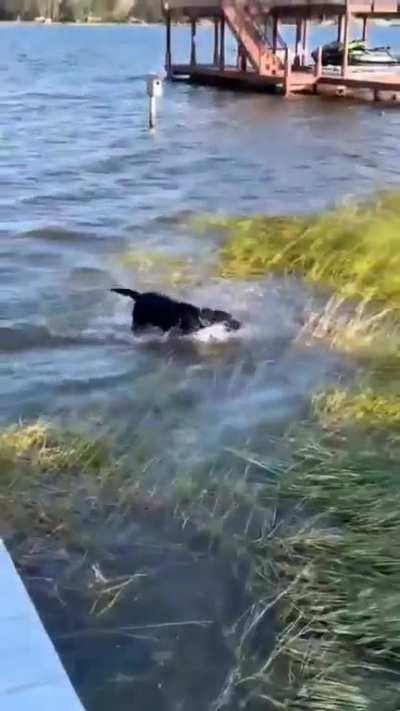 gotta get to the dock