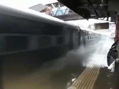 Log Rides Have Nothing On Me! 🌹