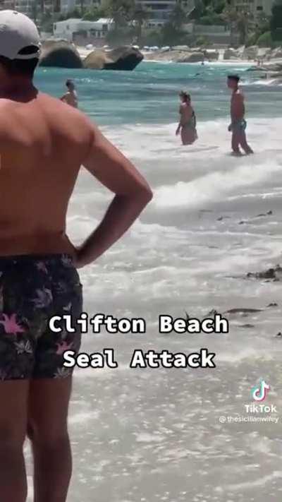 Leisurely day at the beach