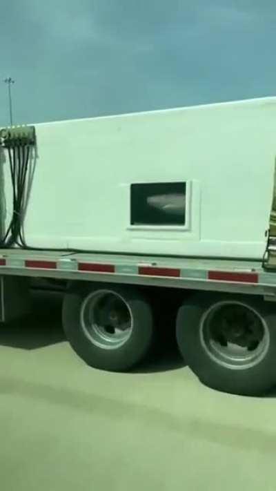 Sharks on the freeway