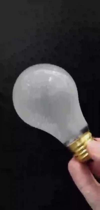 this is just a regular lightbulb