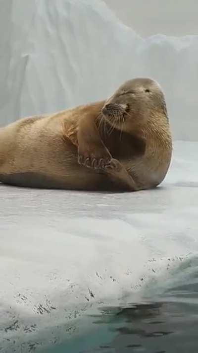 Mizore being a potato@hanasmile515