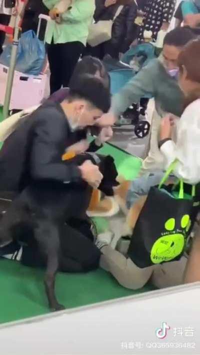 WCGW Bringing Your Uncontrollable Pitbull to a Dog Show