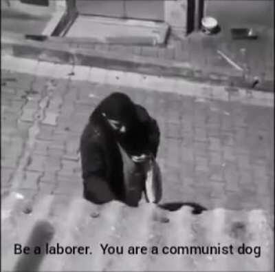 Bu hanginiz? Yakında hayvanları yasaklarlar ha :D