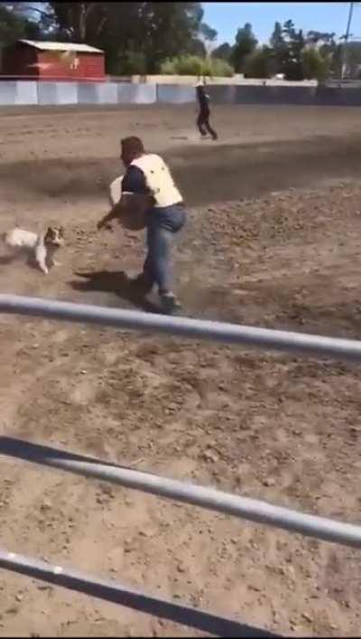 Not made to be a bull rider. Contagious laughter.