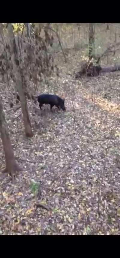 cringe and based at the same time