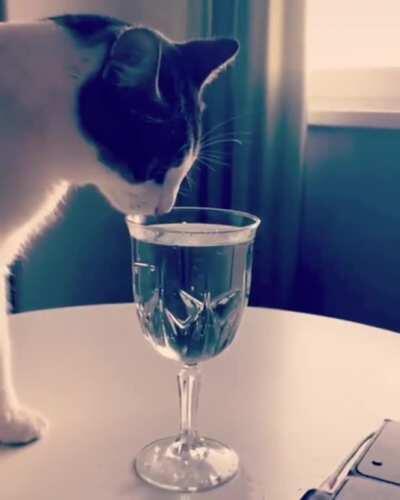 Когда у тебя лапки