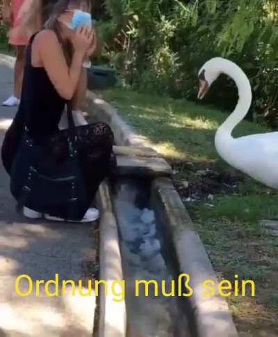 My mom sent me this. I think this belongs here.