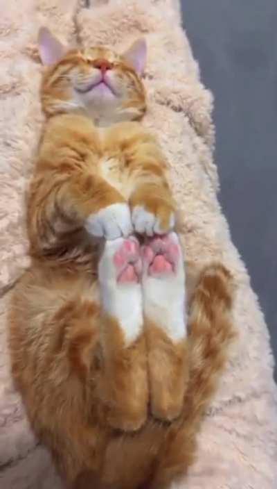 Reddit presents: BEANS