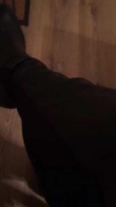 hold my beer while i stand on this egg