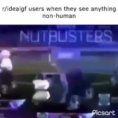 It’s just like their ideal gf!!!