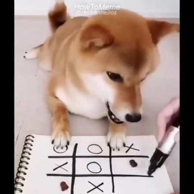 Os cachorros vão dominar o mund0o