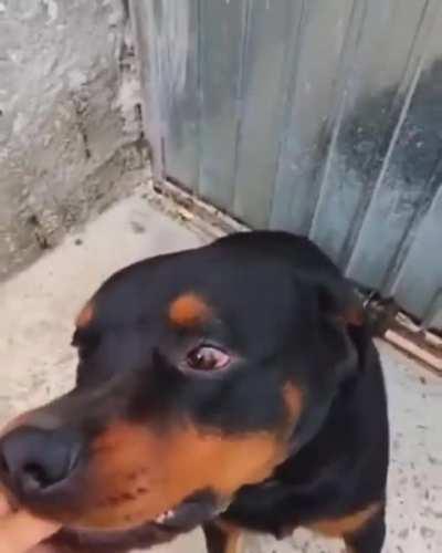 🤣🤣🤣🤣🤣🤣🤣🤣🤣🤣