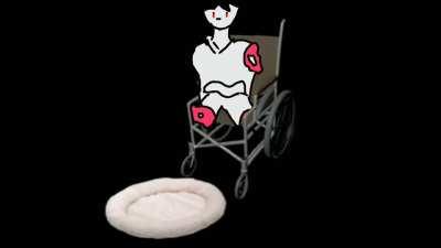 So I did a thing. . . I'm sorry sliver