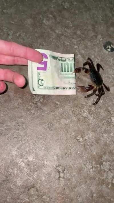 Working out a deal for the Krabby Patty secret formula