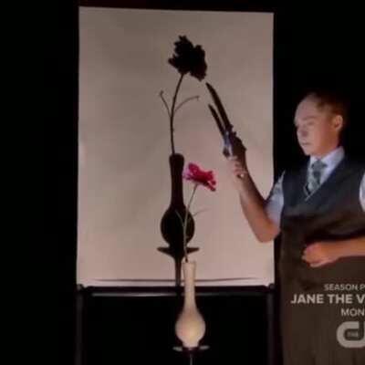 What are my eyes looking at!