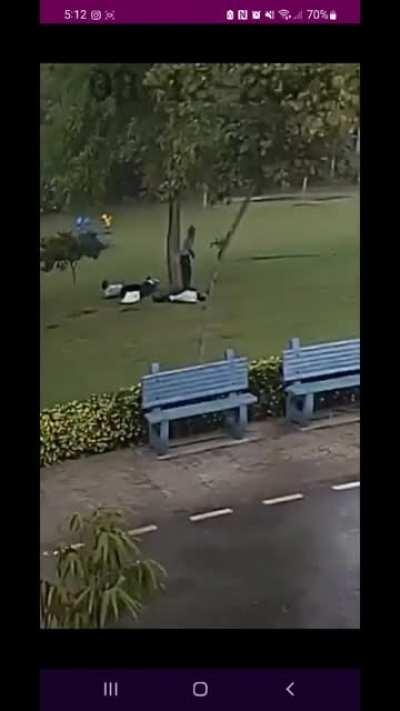 never shelter under a tree in a thunderstorm