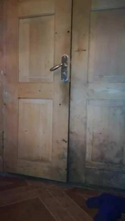 There’s a bear at the door