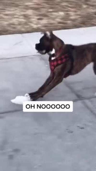 Be home by dinner!!!