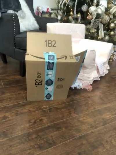 That’s a wrap on Christmas!