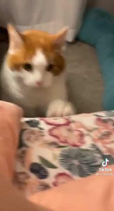 Dancer. She works hard for the money.