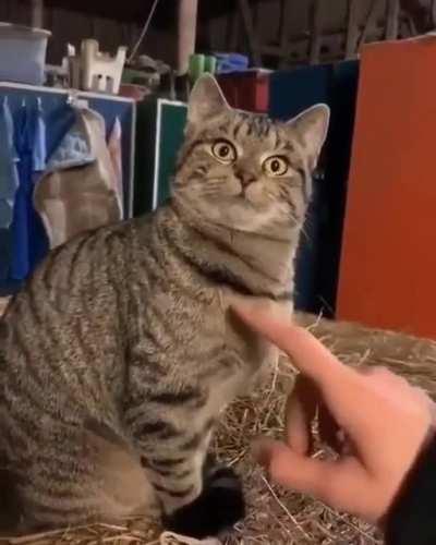 There seems to be a glitch.