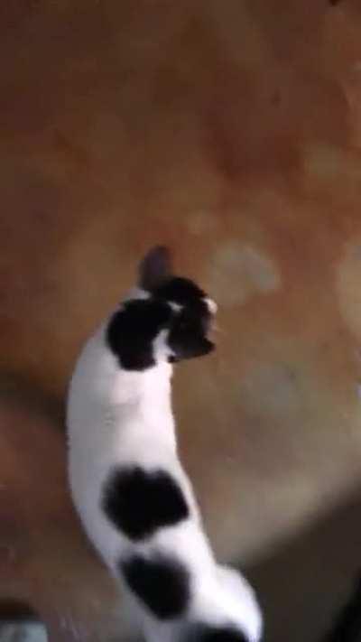 This is the first time Posie has ever eaten in her life