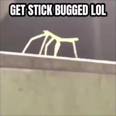 The secret of the EA logo !