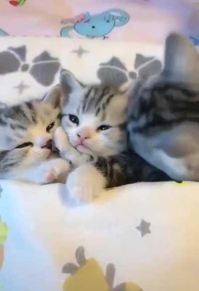 The kindest and sweetest morning to you!