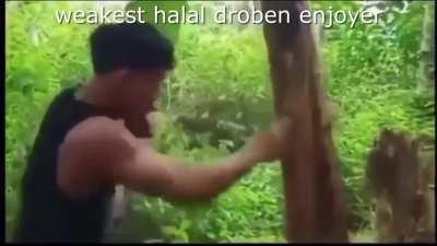 Haram Gayr**l players