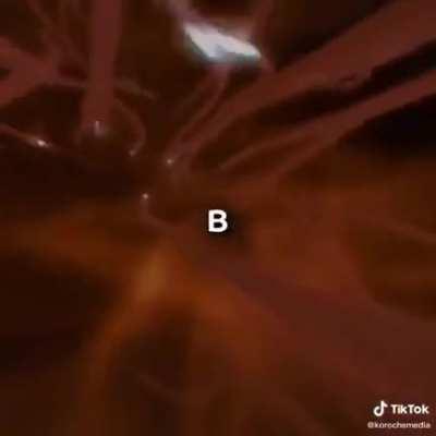 Ну, хоть что-то полезное есть в Тик-Токе