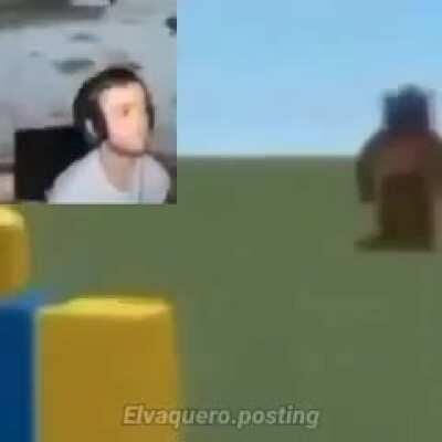 Resumen de los memes de 2020