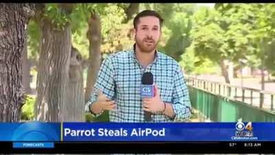 Reporter telling live on air about the increase of thefts in that area...