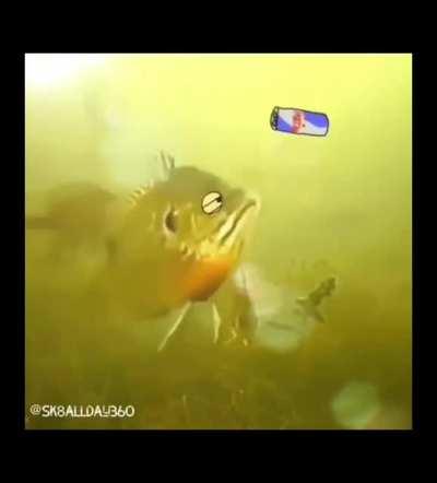 Real life doodle compilation ! [oc]