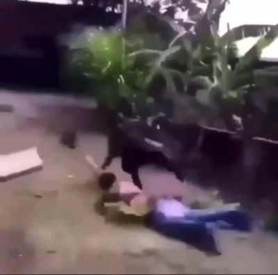 Wtf is going on here💀