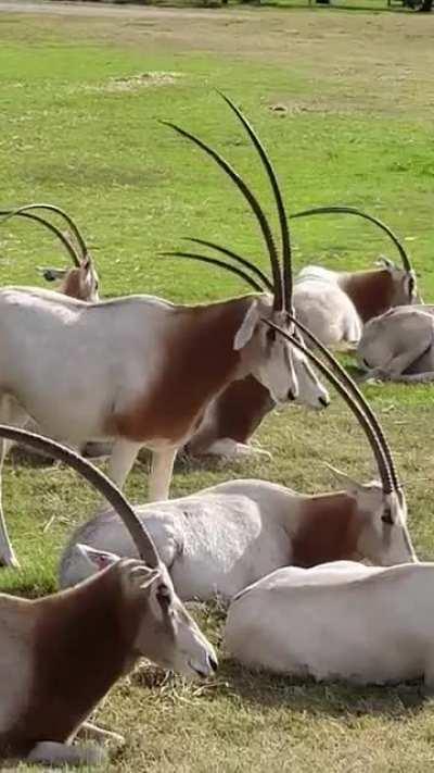 Oh yea, thats the spot