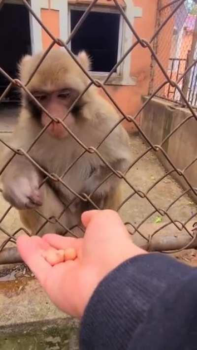 it's just one step from love to hate