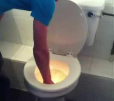 How to untoilet the toilet