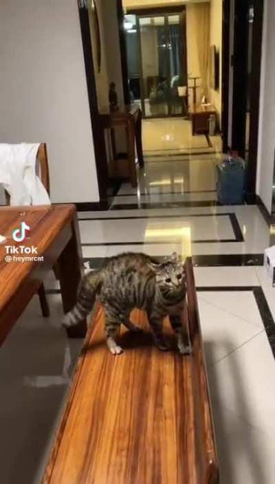 “I have arrived.”