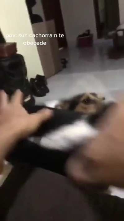 Luangameplay666 - Video #8632