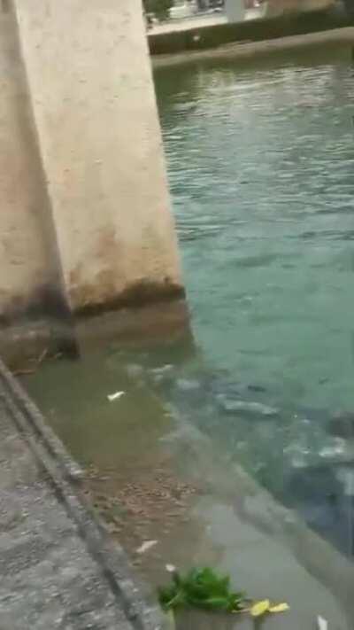 monitoring the situation - time for a snack