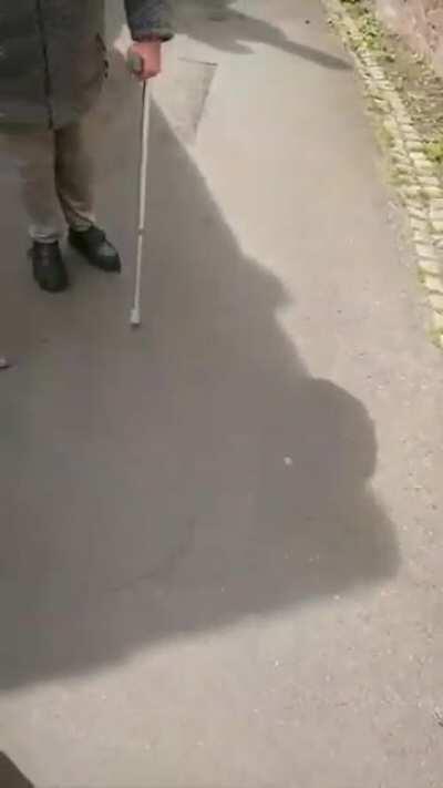 (Sorry for the Elder Scrolls music) HandiKaren assults car and claims to have been hit