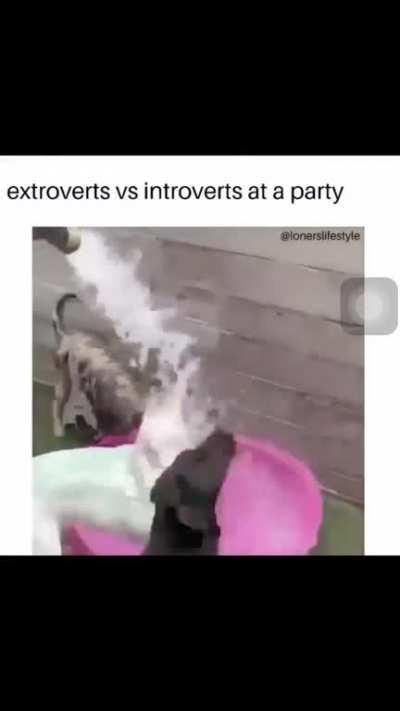 Hope it made you smile