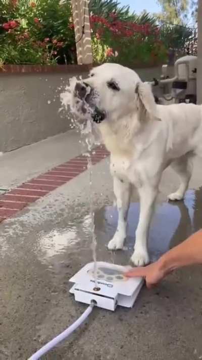 Aww still cute though