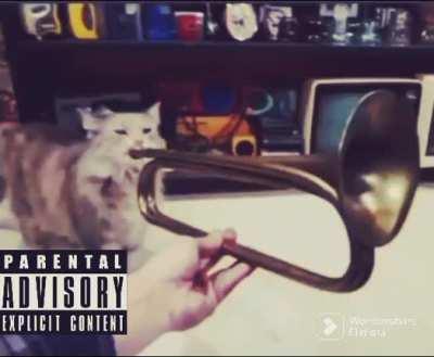 Do You Know the Thug Shaker?