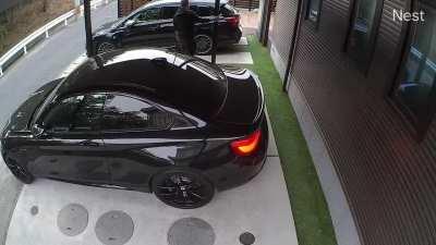 Hit my head on the car port and it sounded like a coconut.