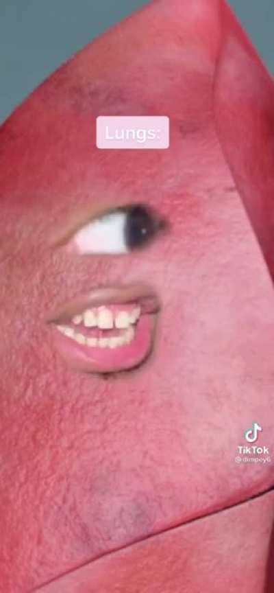 Thought y’all would enjoy this